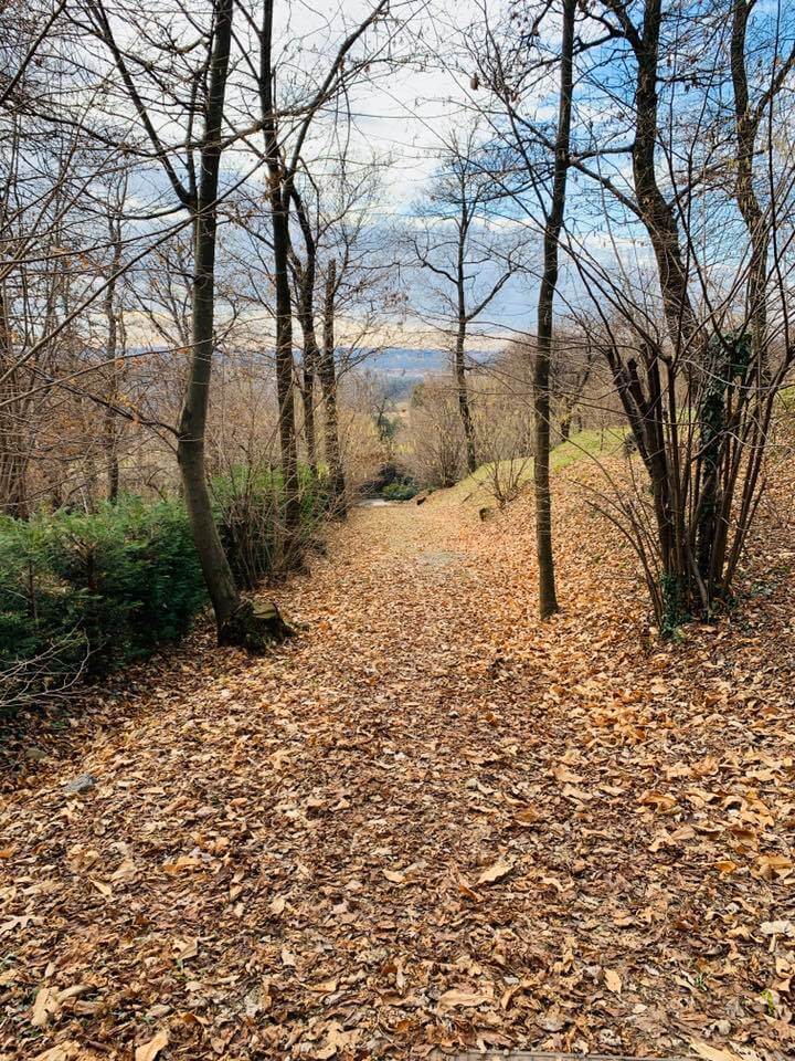 Passeggiare nel bosco, un dono per noi stessi