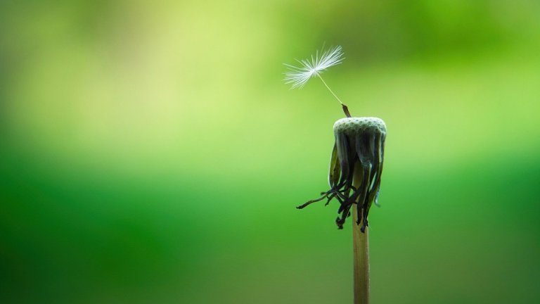 Una storia di resilienza