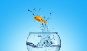 Il Destino: oltre blocchi e traumi