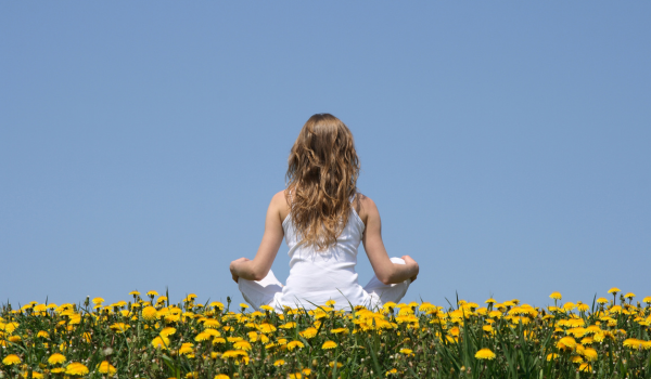 Che stress gestire lo stress… (seconda parte)
